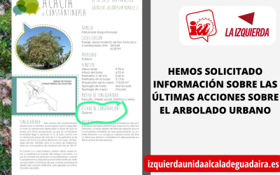 INFORMACIÓN SOBRE ÚLTIMAS ACCIONES SOBRE ARBOLADO URBANO
