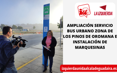 MEJORA Y AMPLIACIÓN EN LAS LÍNEAS DE BUS DE LA ZONA CAMPO DE LAS BEATAS, LOS PINOS, CAMPO ALEGRE