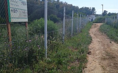 IZQUIERDA ALCALAREÑA SE FELICITA DE LA RESOLUCIÓN DE LA DENUNCIA SOBRE LOS CORTES DE VIAS