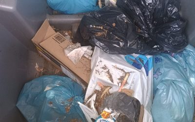 El contenedor marrón de Alcalá se convierte en un vertedero de basura general: las fotos demuestran el fracaso del sistema que el Ayuntamiento lleva siete meses cobrando a los vecinos